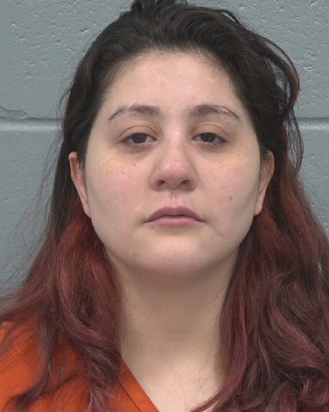 Booking photo of Diamond Santiago