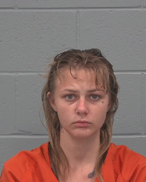 Booking photo of Ryanne Vaughn