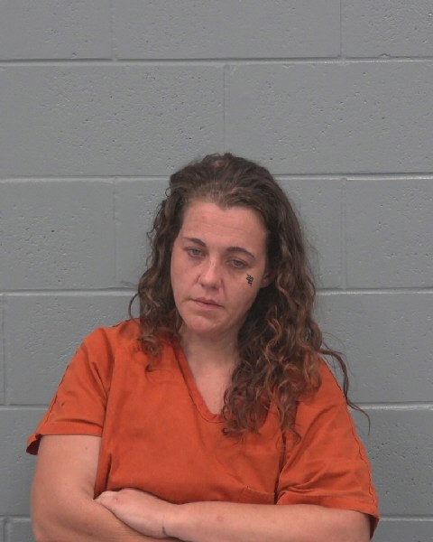 Booking photo of Tearesa Dotson