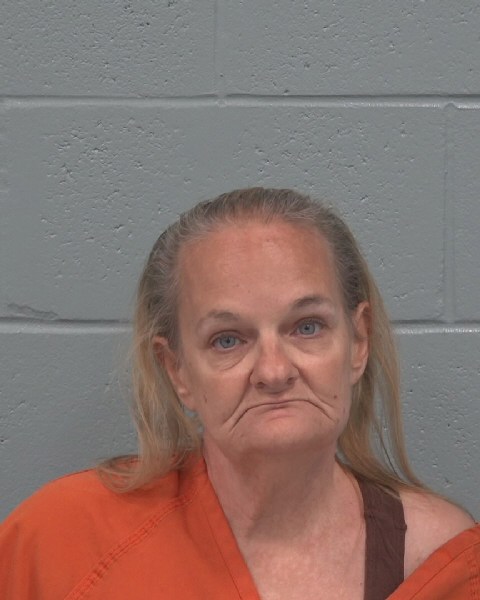 Booking photo of Bridget Pachoumis