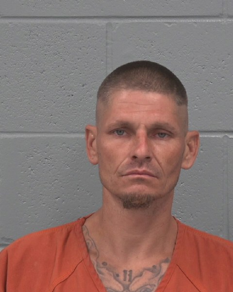 Booking photo of Louis Stein