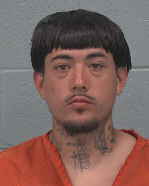 Booking photo of Caylem Carlisle