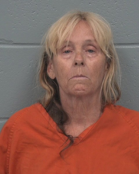 Booking photo of Jayne Donnan