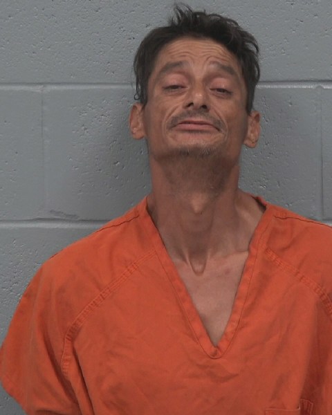 Booking photo of Mike Nelson