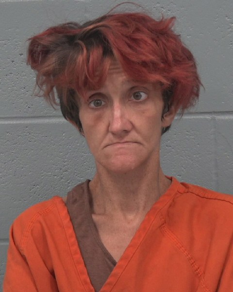 Booking photo of Christin Drury