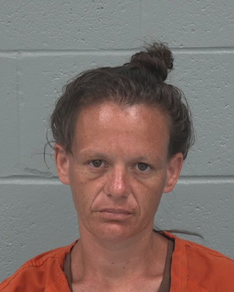 Veronica Irvin booking photo
