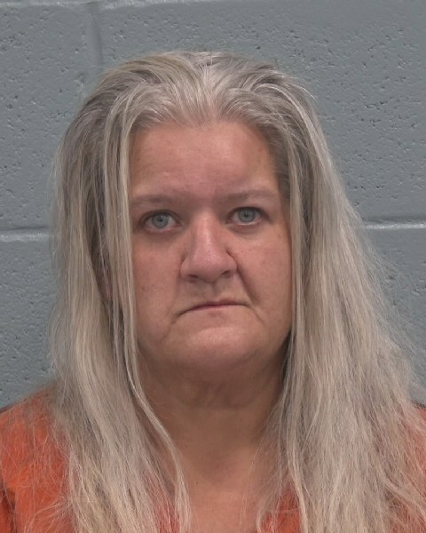 Booking photo of Christina Fahey