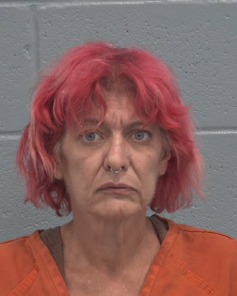 Booking photo of Lori Dailey