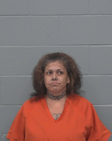 Booking photo of Maribel Moreno-edelman