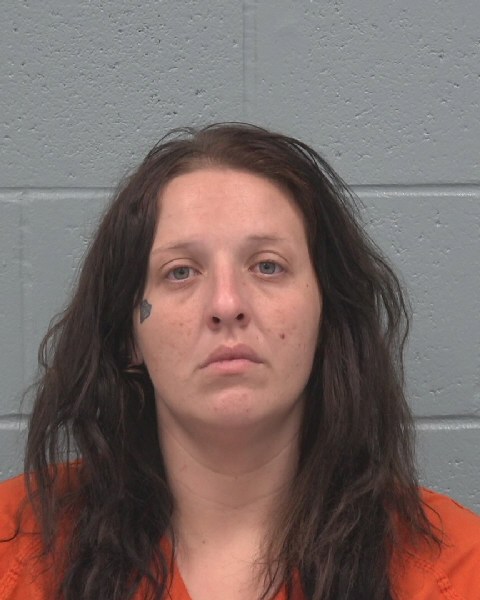 Booking photo of Jillian Landes
