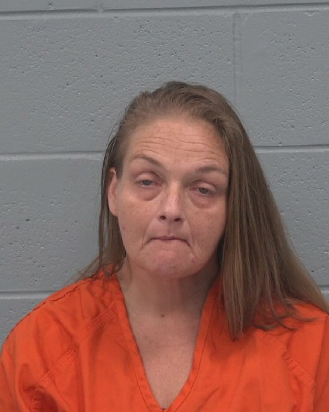 Booking photo of Stephanie Dailey