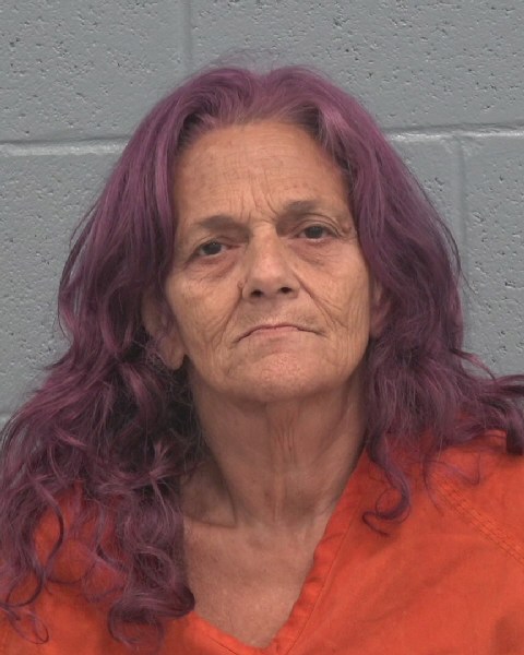 Booking photo of Michelle Melissas