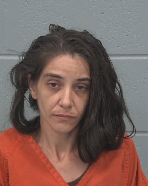 Booking photo of Sara Del Castillo