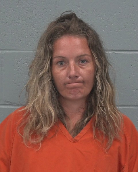 Booking photo of Brianna Heslin