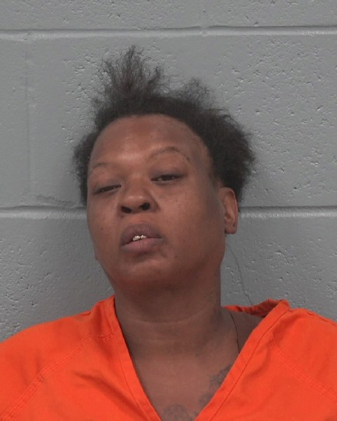 Booking photo of Christine Mixon