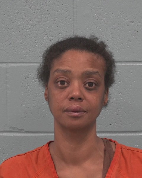 Louisa Hudlun booking photo