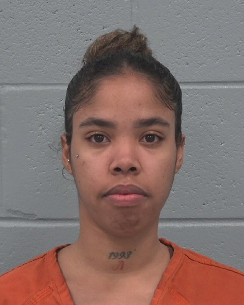 Booking photo of Dayana Chamizo