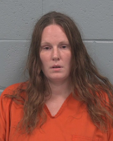 Booking photo of Shannon Castro