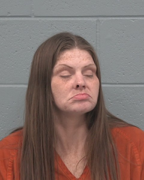 Booking photo of Crystle Erickson