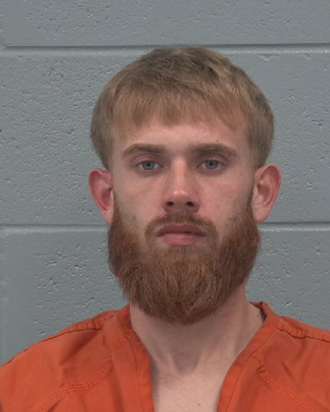 Booking photo of Dayton Parks
