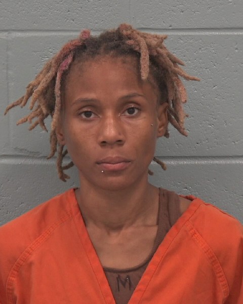 Booking photo of Ariel King