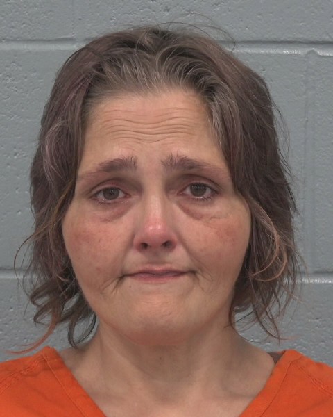 Booking photo of Barbara Santana