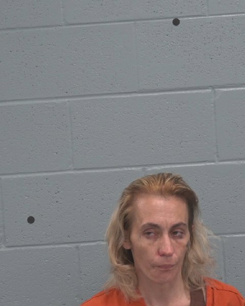 Booking photo of Dawn Dunn