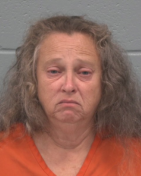 Booking photo of Theresa Guardino