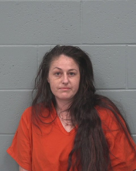 Booking photo of Megan Hamilton