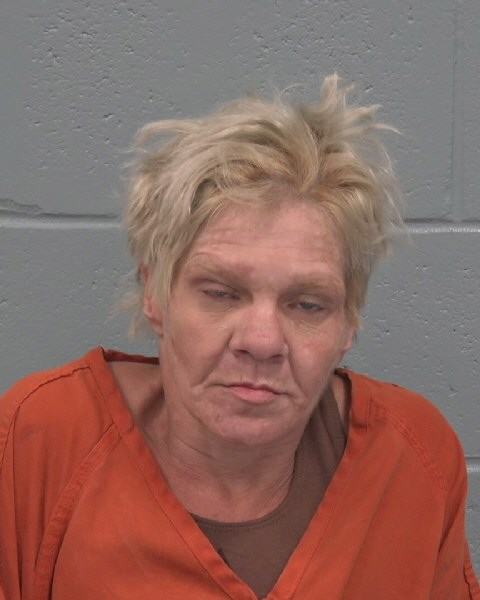 Booking photo of Erica Gibbs
