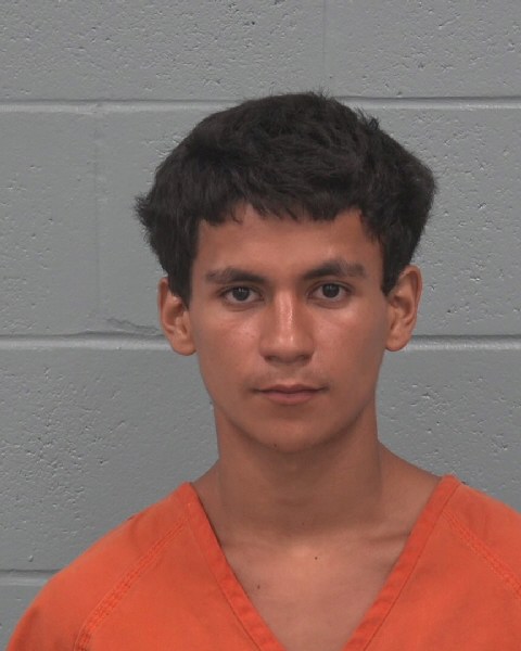 Booking photo of Nelson Mendieta-arita