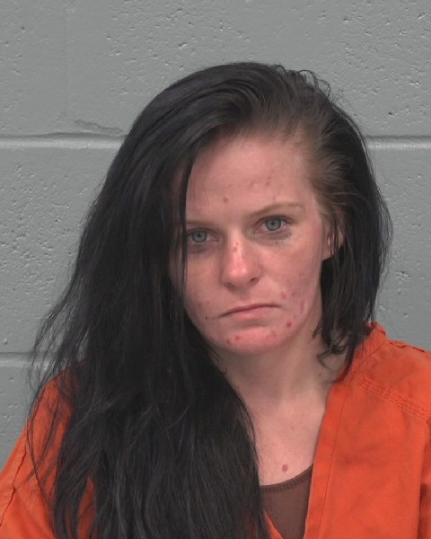 Booking photo of Sonja Wells