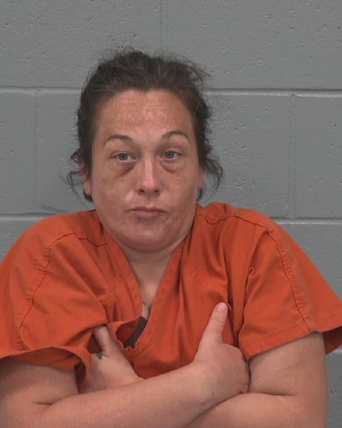Booking photo of Hannah Johnson