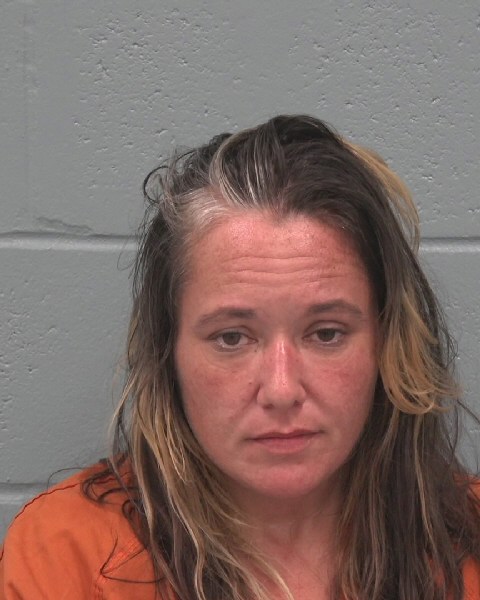 Booking photo of Andrea Stephens