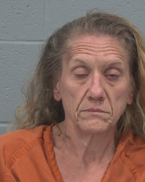Booking photo of Jennifer Collins