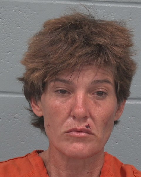 Booking photo of Susie Mcmurray