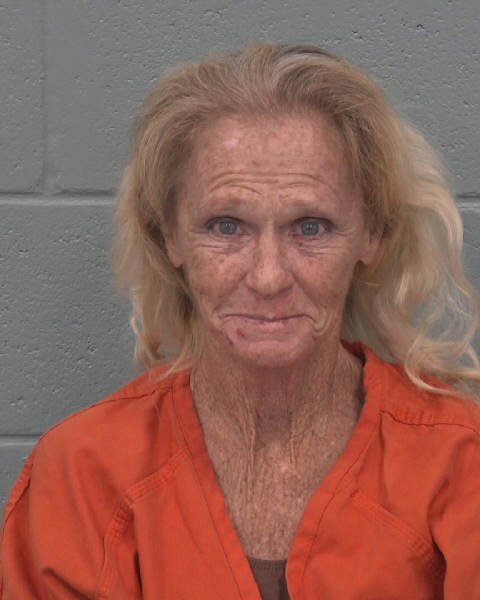 Booking photo of Kimberly Pleasants