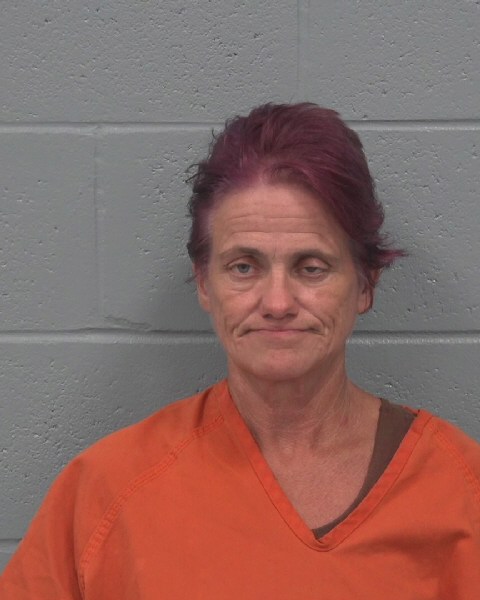 Booking photo of Ann Billings