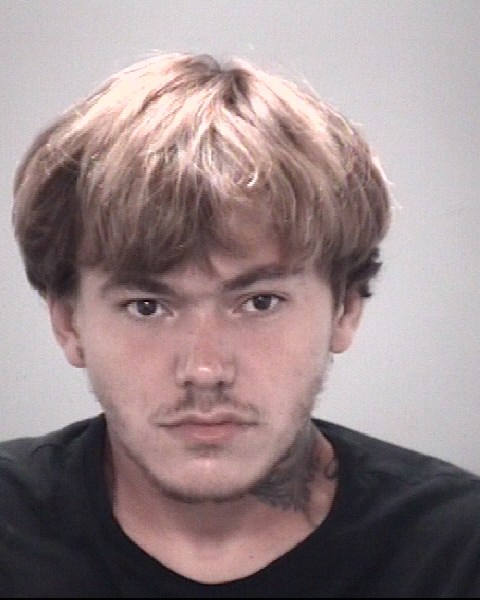 Booking photo of David Marvulli-fernandez