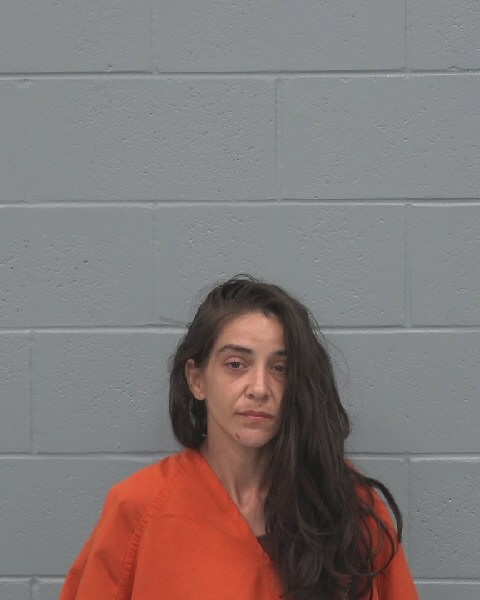 Booking photo of Sara Del Castillo