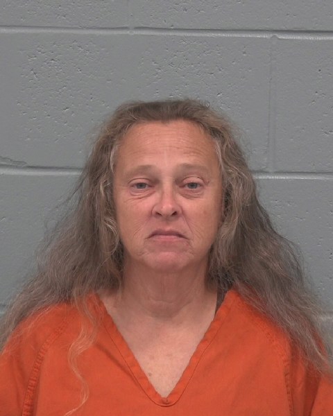 Booking photo of Theresa Guardino