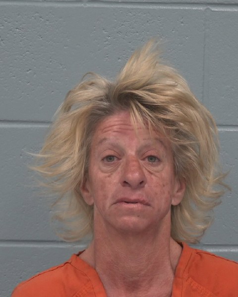 Booking photo of Cathy Ivancsits