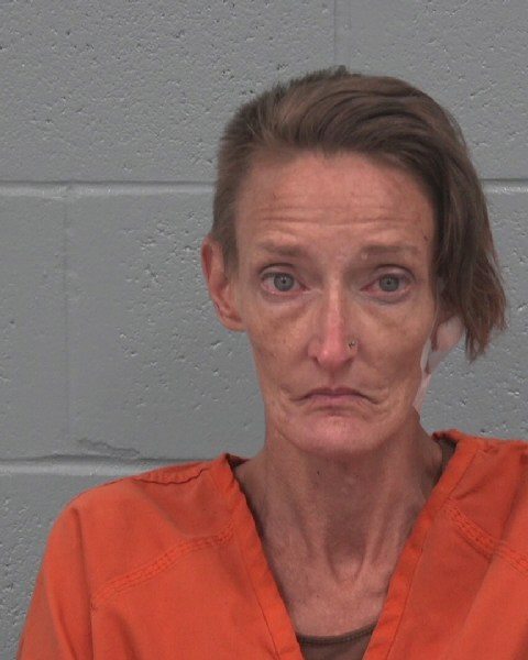 Michelle Berberian booking photo