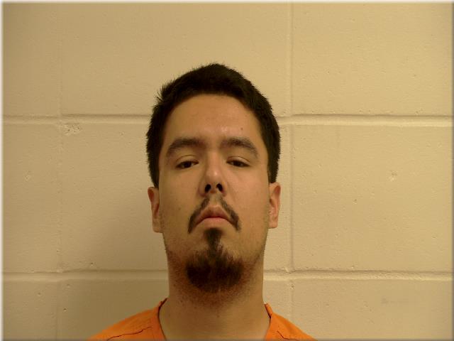 Booking photo of David Truman-burton Chaboyea
