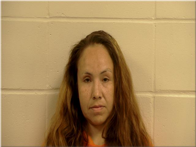 Jessica Ann Johnson booking photo