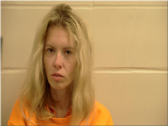 Brittany Marie Pierson booking photo
