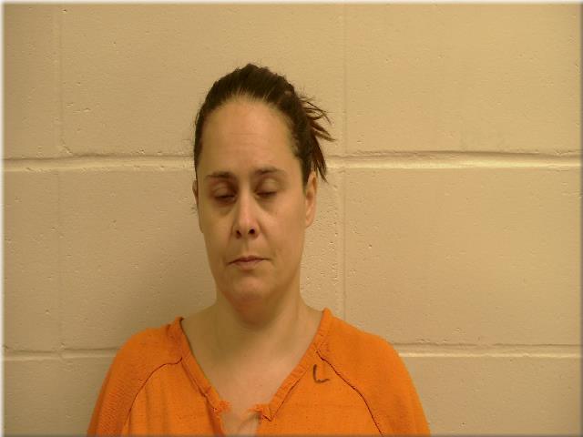Nicole Ann Fineday booking photo