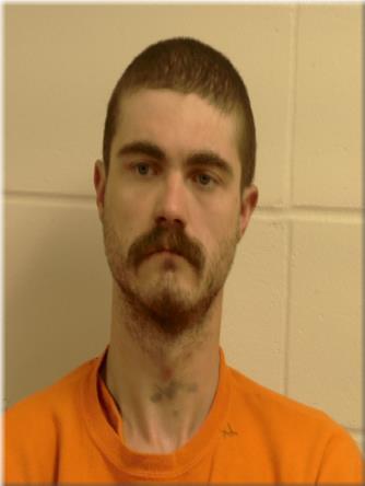 Booking photo of Ethan Alexander Johnson