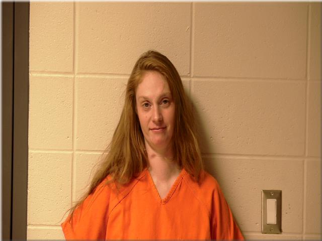 Booking photo of Tiffany Lynn Nelson