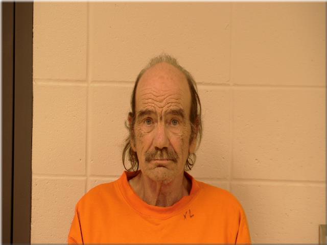 Ronald Hamren booking photo